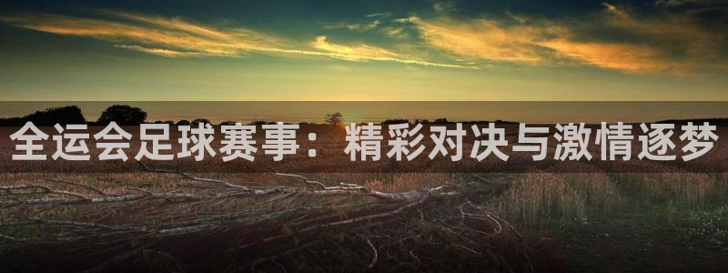 壹号互娱：全运会足球赛事：精彩对决与激情逐梦