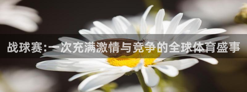壹号娱乐退款步骤：战球赛:一次充满激情与竞争的全球体育盛事