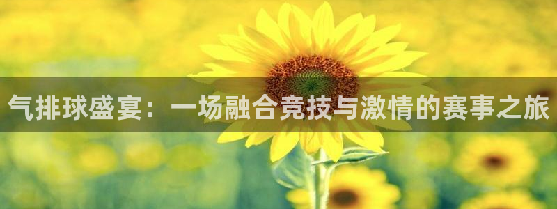 壹号首长原著小说免费阅读