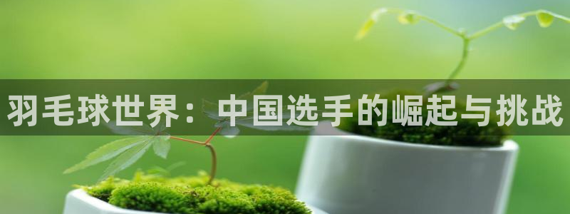 壹号俱乐部怎么样知乎：羽毛球世界：中国选手的崛起与挑战