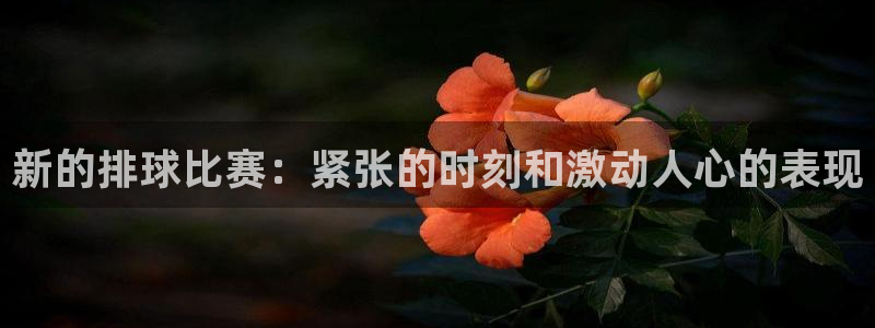 壹号平台让我退款