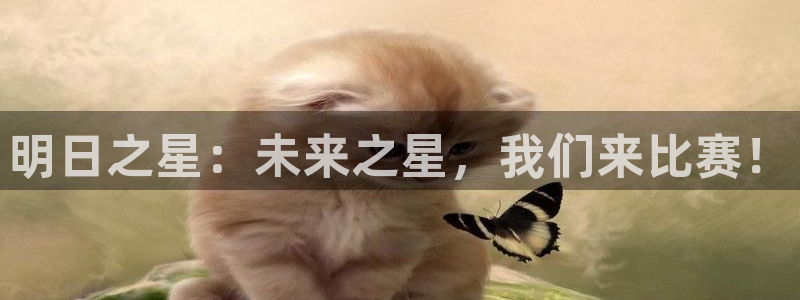 壹号平台下载网址